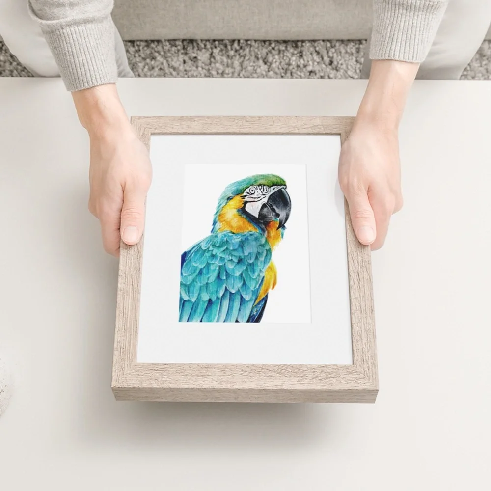 Blue Macaw Parrot Bird Watercolor Wall Art Print Poster Unframed - Picture 4 of 8